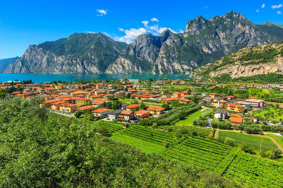 Weine des Gardasees: An den Ufern des Gardasees findet ihr ausgedehnte Weinberge.