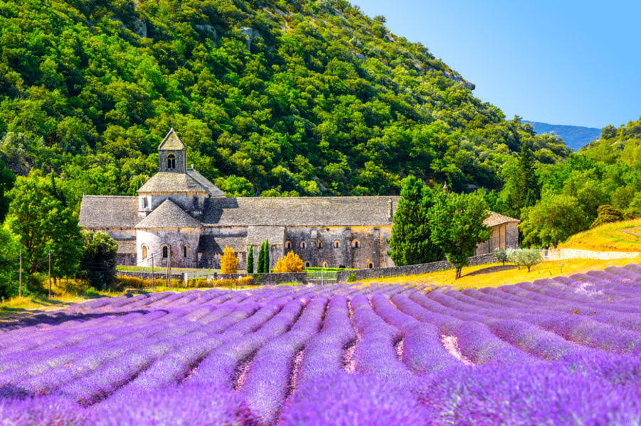 Lavendelfelder in Frankreich: Blick auf die Abtei de Sénanque mit einem Lavendelfeld im Vordergrund